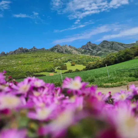 La Cresta Farm stay